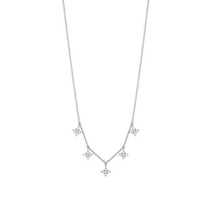 Collana Salvini Luce