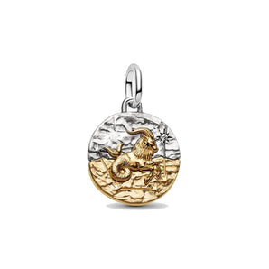Charm Medallion Capricorno
Argento Sterling 925, Esclusiva lega metallica rifinita in Oro