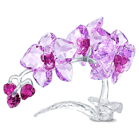 Orchidea Swarovski