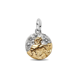 Charm Medallion Ariete
Argento Sterling 925, Esclusiva lega metallica rifinita in Oro