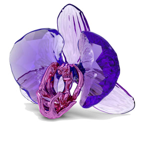 Swarovski Idyllia SCS Petalo di Orchidea