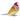 Idyllia SCS Diamante di Gould Grande