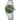 OROLOGIO DA UOMO FESTINA SWISS MADE DUNE VERDE