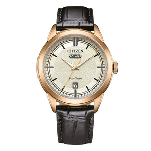 Orologio Citizen day date