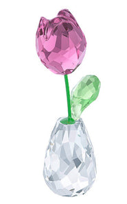 Ditelo con un fiore - Tulipano rosa