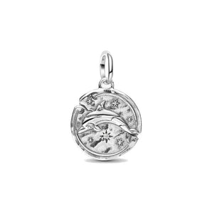 Charm Medallion Delfino "Audaces Fortuna Iuvat"
Argento Sterling 925
