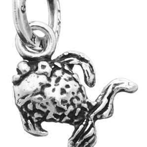 Charm pesciolino