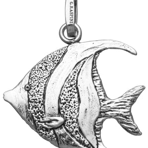 Charm Giovanni Raspini pesce tropicale