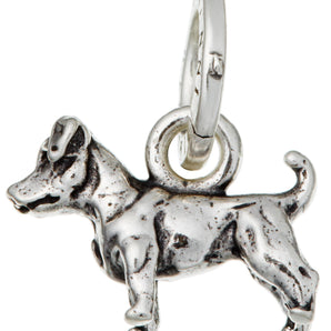 CHARM JACK RUSSEL