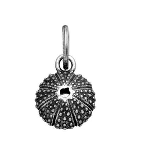 Charm Raspini riccio di mare